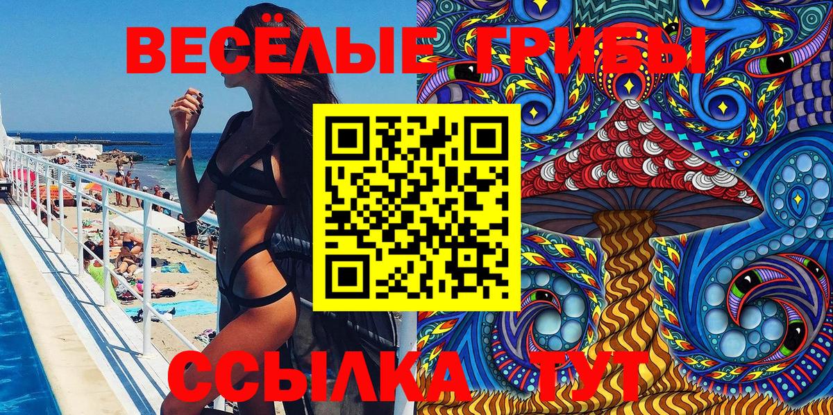Георгиевск  Галлюциногенные грибы Psilocybine cubensis  Вход с VPN 